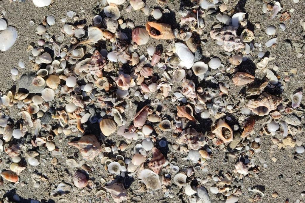Santa Pola Con Tres Dormitorios Playa Levante Εξωτερικό φωτογραφία